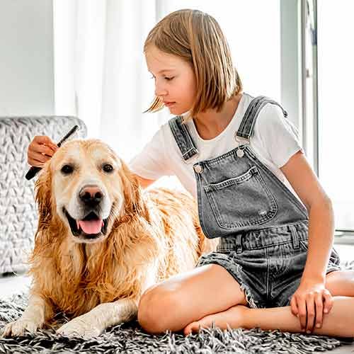 Niña cepillando a su perro