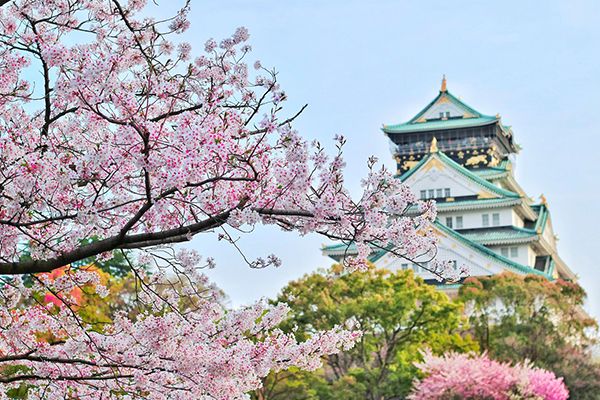 Templo budista con árboles de cerezo en Japón