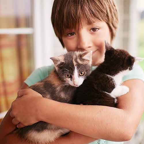 Niño abrazando un par de gatitos