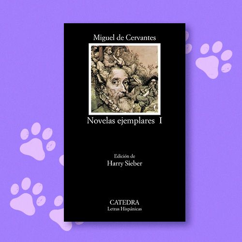 Libro Novelas ejemplares 1, Miguel de Cervantes, Cátedra