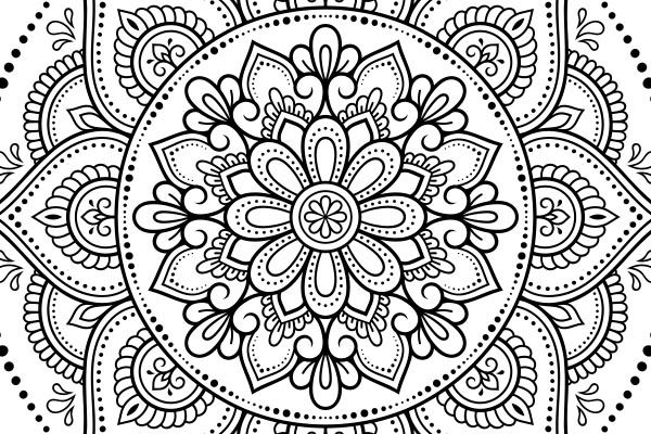 e545a71da54a5a7369b44c95ca5137da24e43b5c 600x400 1