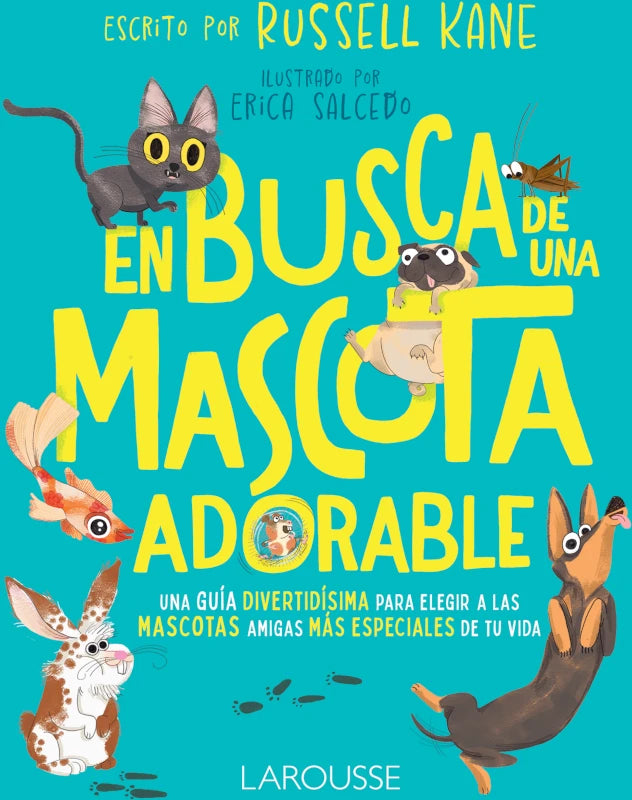 En busca de una mascota adorable